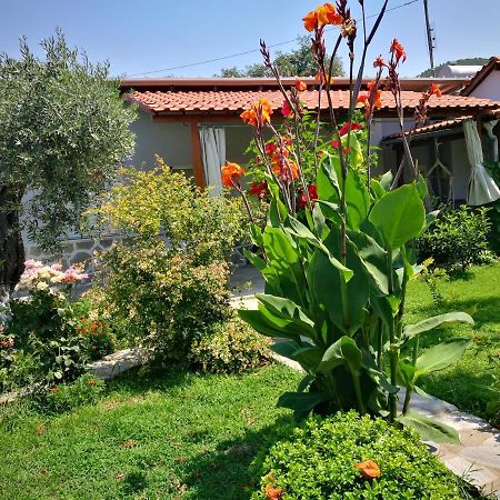 Cristi Apartments Skala Rachoni  Bagian luar foto