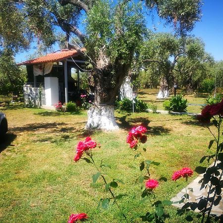 Cristi Apartments Skala Rachoni  Bagian luar foto