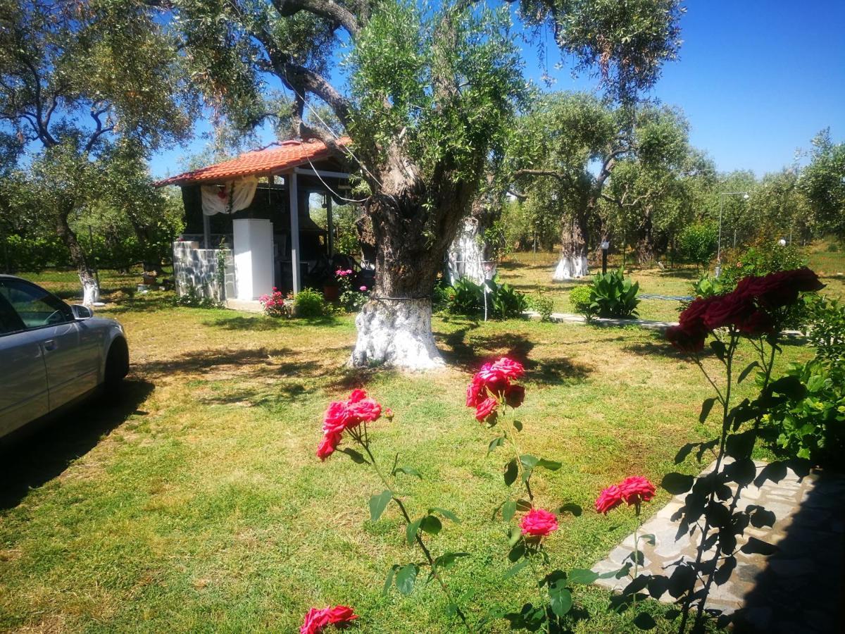 Cristi Apartments Skala Rachoni  Bagian luar foto