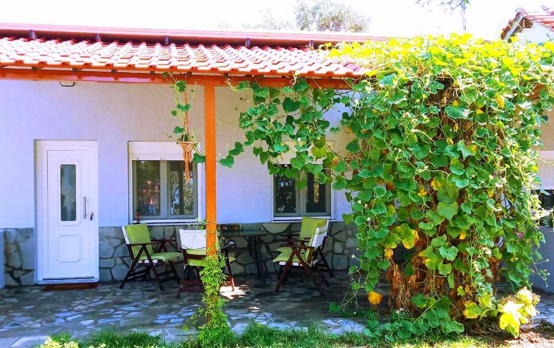 Cristi Apartments Skala Rachoni  Bagian luar foto